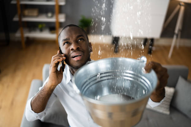 Best Flood restoration services  in North Sioux City, SD