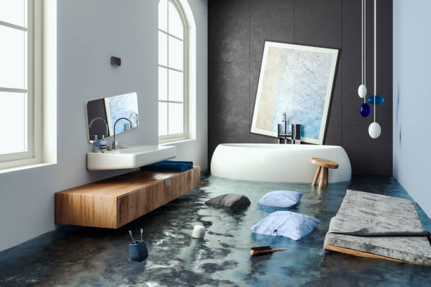Best Water damage mitigation services  in North Sioux City, SD