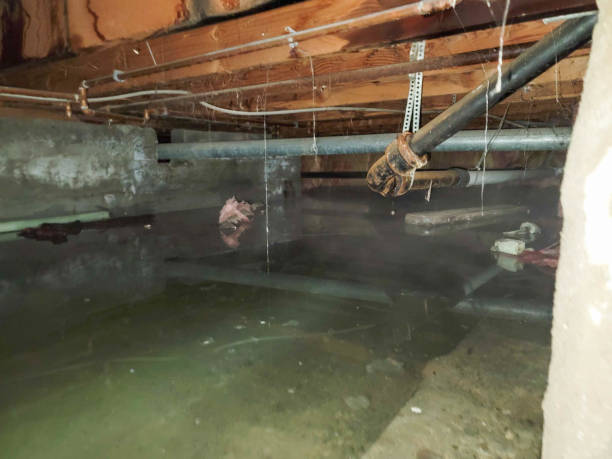 Best Flooded house restoration  in North Sioux City, SD