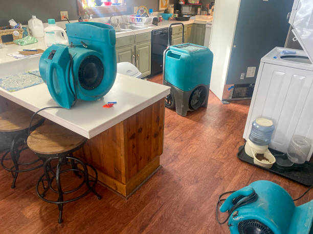 Water damage restoration insurance claims in SD