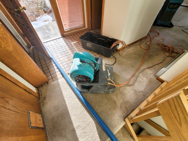 Best 24-hour water damage restoration  in North Sioux City, SD