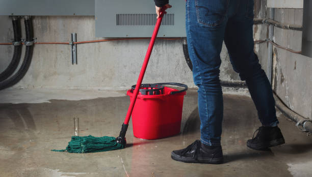 Best Flood damage cleanup  in North Sioux City, SD