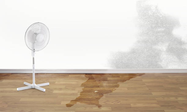 Best Ceiling water damage repair  in North Sioux City, SD