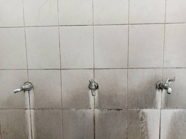 Best Carpet water damage restoration  in North Sioux City, SD