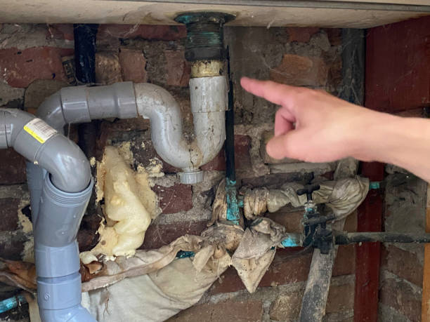 Best Fire Damage Restoration  in North Sioux City, SD