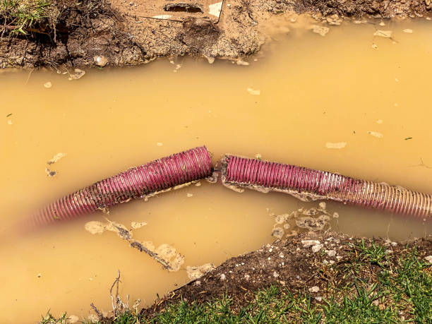Best Residential water damage restoration  in North Sioux City, SD