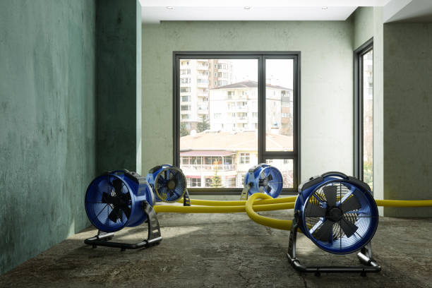 Best Sewage cleanup and water damage restoration  in North Sioux City, SD