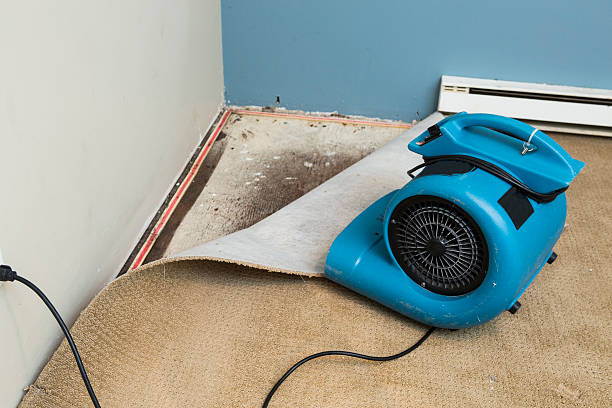 Best Water damage restoration specialists  in North Sioux City, SD